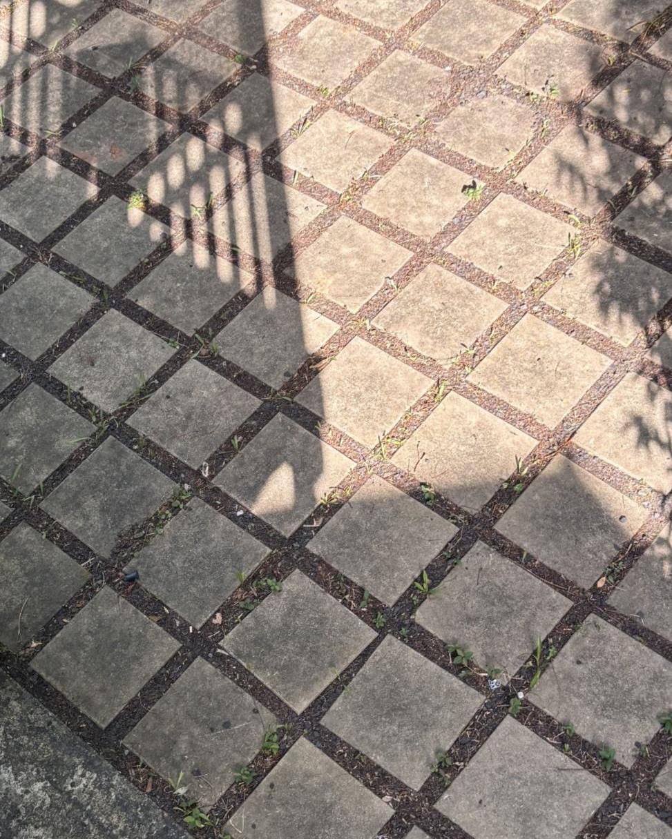 Grey, mouldy pavers before cleaning