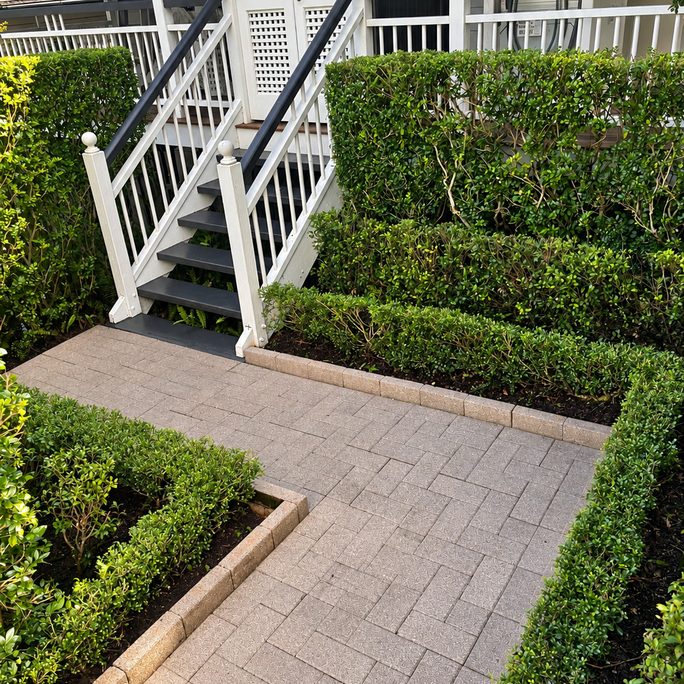 Square-cut hedges lining a paved path to the stairs