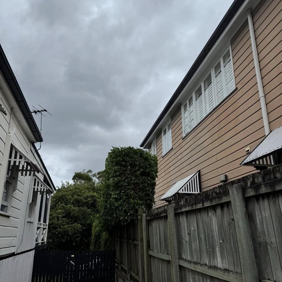 Tree trimmed back from a house